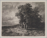 KG 14132
          <br/>
          Alpenlandschap met bomenpartij
          <br/>
          <em>Calame, Alexandre (1810 - 1864)</em>